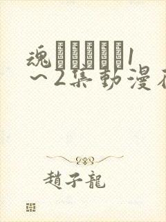 魂インサート1～2集动漫在线播放