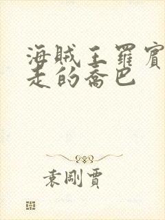 海贼王罗宾和暴走的乔巴