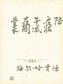 爱在午夜降临前未删减版