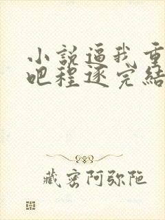 小说逼我重生是吧程逐完结版