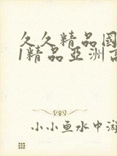 久久精品国产91精品亚洲高清