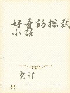 好看的总裁长篇小说