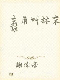 主角叫林末的小说