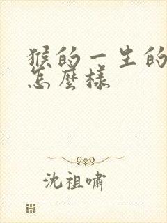 猴的一生的命运怎么样