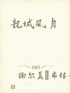 龙城风月封面