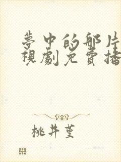 梦中的那片海电视剧免费播放在线封面