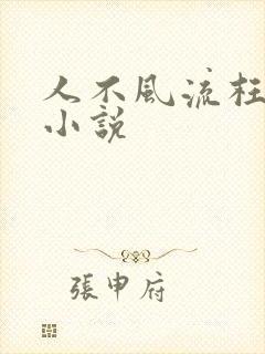 人不风流枉少年小说封面