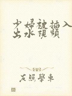 少妇被插入高潮出水视频封面