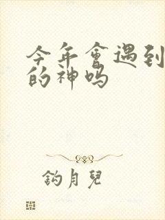 今年会遇到心软的神吗封面