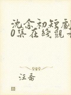 沈念初短剧100集在线观看封面