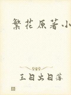 繁花原著小说
