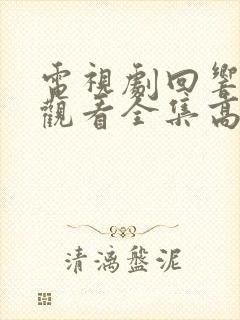 电视剧回响免费观看全集高清封面