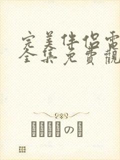 完美伴侣电视剧全集免费观看西瓜