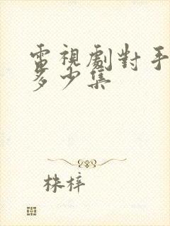 电视剧对手一共多少集