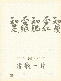 知否知否知否应是绿肥红瘦解说词