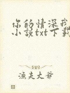 你的情深我不配小说txt下载