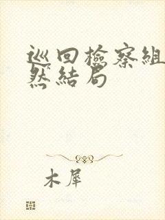 巡回检察组罗欣然结局封面