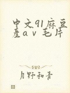 中文91麻豆国产aⅴ毛片