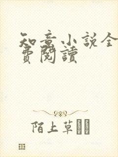 知意小说全文免费阅读