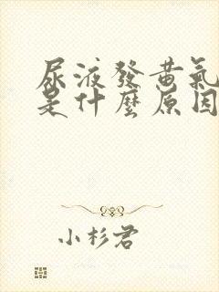 尿液发黄气味大是什么原因