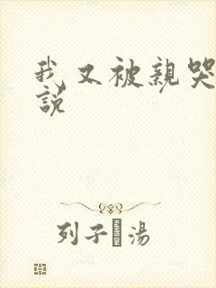 我又被亲哭了小说