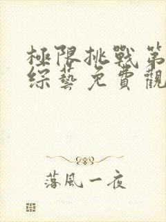 极限挑战第九季综艺免费观看