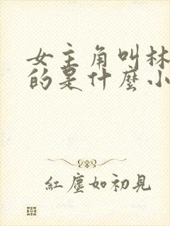 女主角叫林知夏的是什么小说