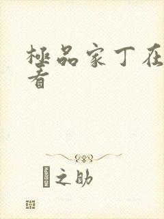 极品家丁在那里看