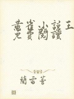 黄雀小说王小枪免费阅读