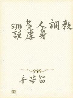 sm多人调教小说虐身