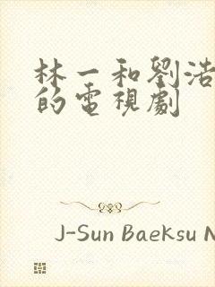 林一和刘浩存演的电视剧