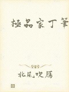 极品家丁笔趣阁