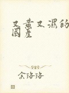 又黄又湿的网站国产