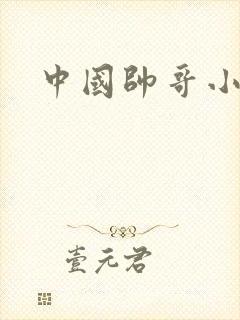 中国帅哥小鲜肉