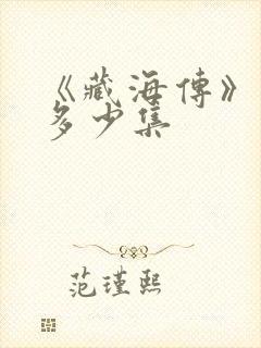 《藏海传》一共多少集