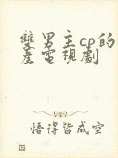 双男主cp的国产电视剧封面