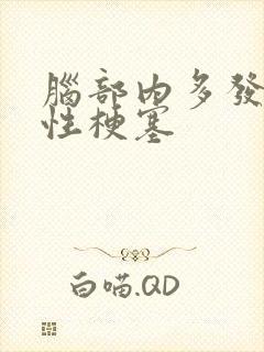 脑部内多发腔隙性梗塞