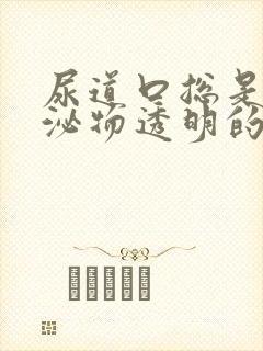 尿道口总是有分泌物透明的