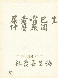 尿黄嘴巴生疮是什么原因封面