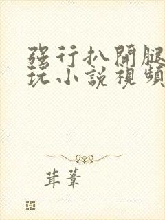 强行扒开腿狂揉玩小说视频