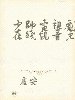 少帅电视剧高清在线观看免费