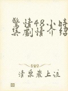 惊情48小时分集剧情介绍封面