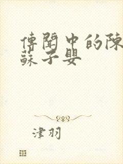 传闻中的陈芊芊苏子婴封面