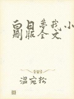 白日梦我小说未删版全文