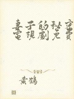 妻子的秘密在线电视剧免费播放