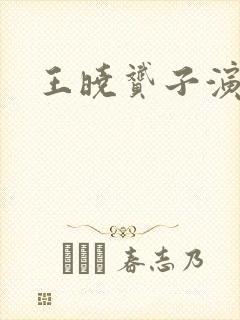 王晓赟子演的剧封面