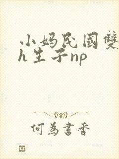 小妈民国双性高h生子np
