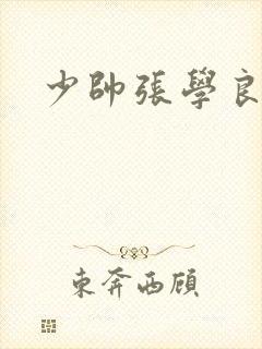 少帅张学良演员