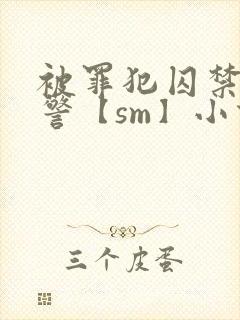 被罪犯囚禁的刑警【sm】小说封面