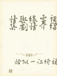 情与缘电视剧分集剧情介绍